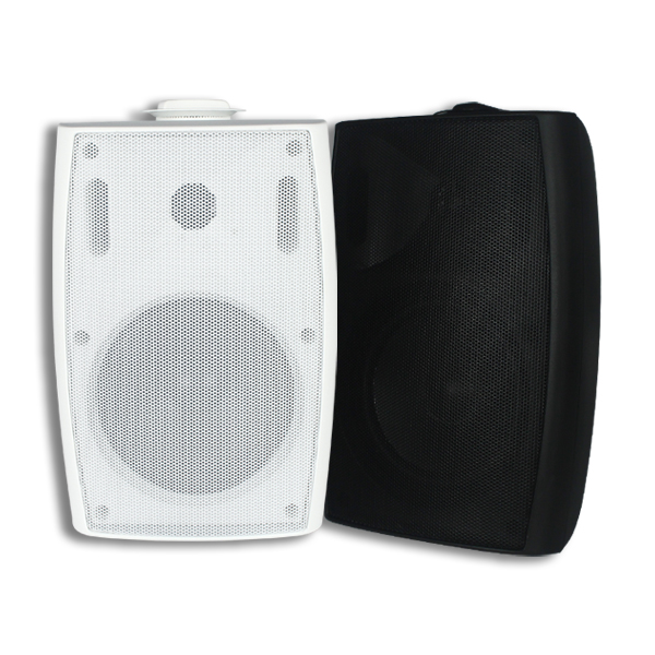 TL-G51 5.25 بوصة مكبر صوت مثبت على الحائط