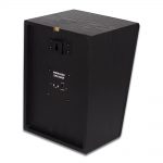 TL-WX02 5,25-дюймовый наклонный динамик с беспроводным приемом